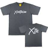 Xanthism LOGO GREY Camisetas