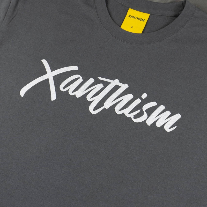 Xanthism LOGO GREY Camisetas